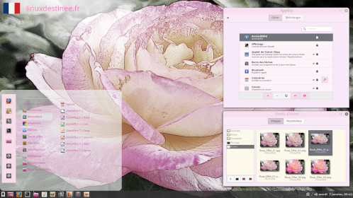 photo theme rose linux destinée